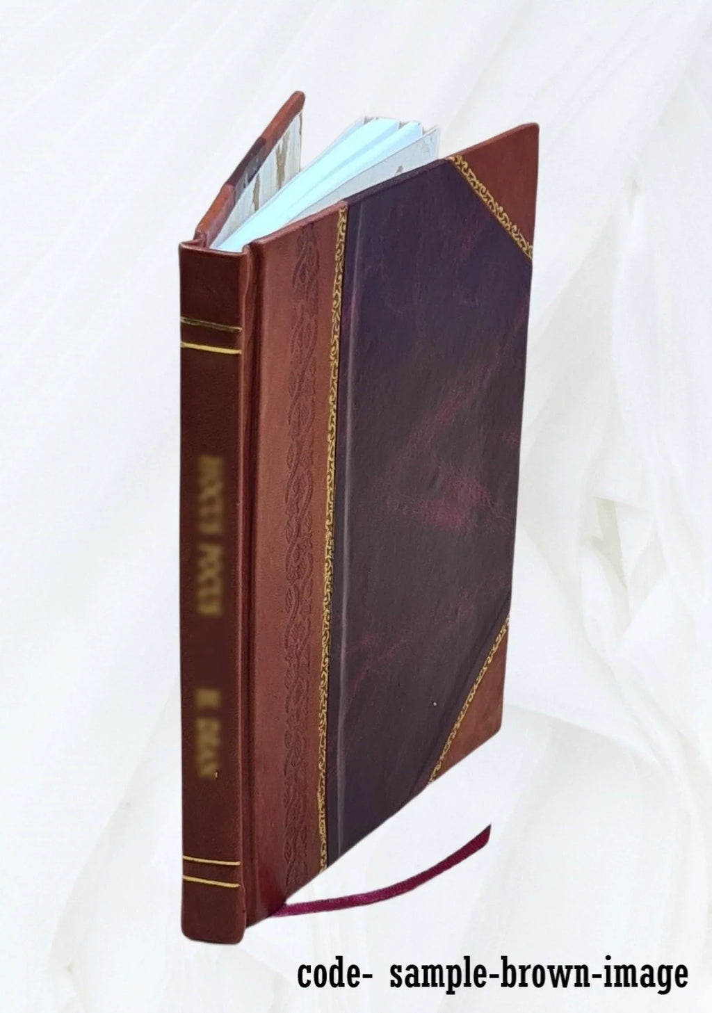 Guida per la Regia Pinacoteca di Brera 1800 [Leather Bound]