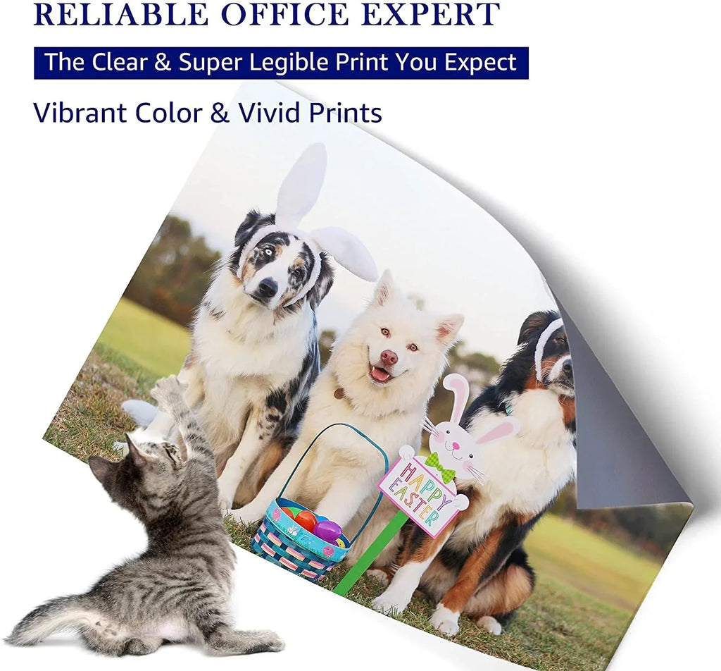 suitable 62XL 62 XL High Yield Ink Cartridge Replacement for  Envy 5540 5660 7645 5642 5542 5640 7644 8000 OfficeJet 200 250 5740 200 5745 Printer