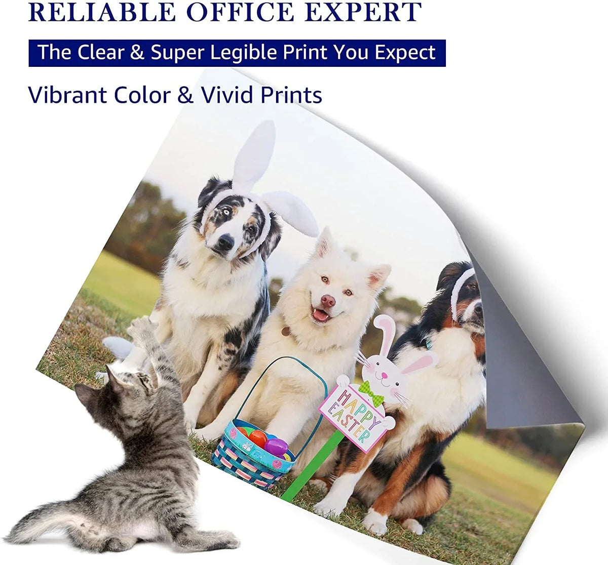 suitable 62XL 62 XL High Yield Ink Cartridge Replacement for  Envy 5540 5660 7645 5642 5542 5640 7644 8000 OfficeJet 200 250 5740 200 5745 Printer