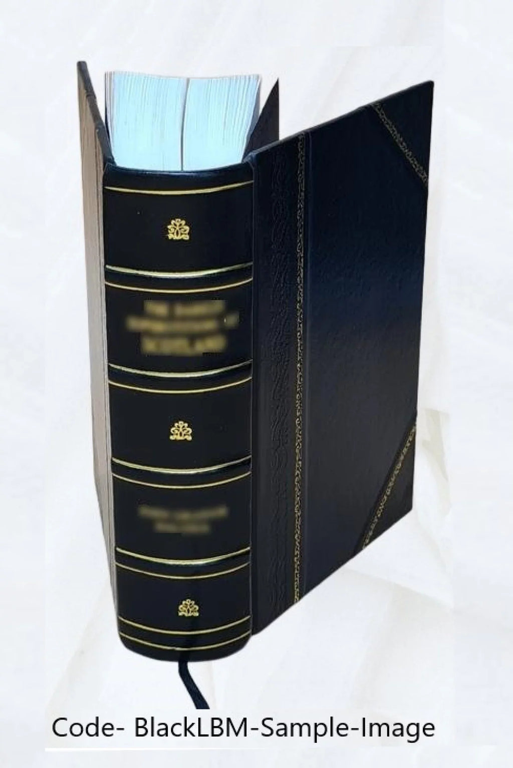 Volume Bd.7:Heft42-47 (1906) 1906 [Leather Bound]. Grenzfragen des Nerven- und Seelenlebens