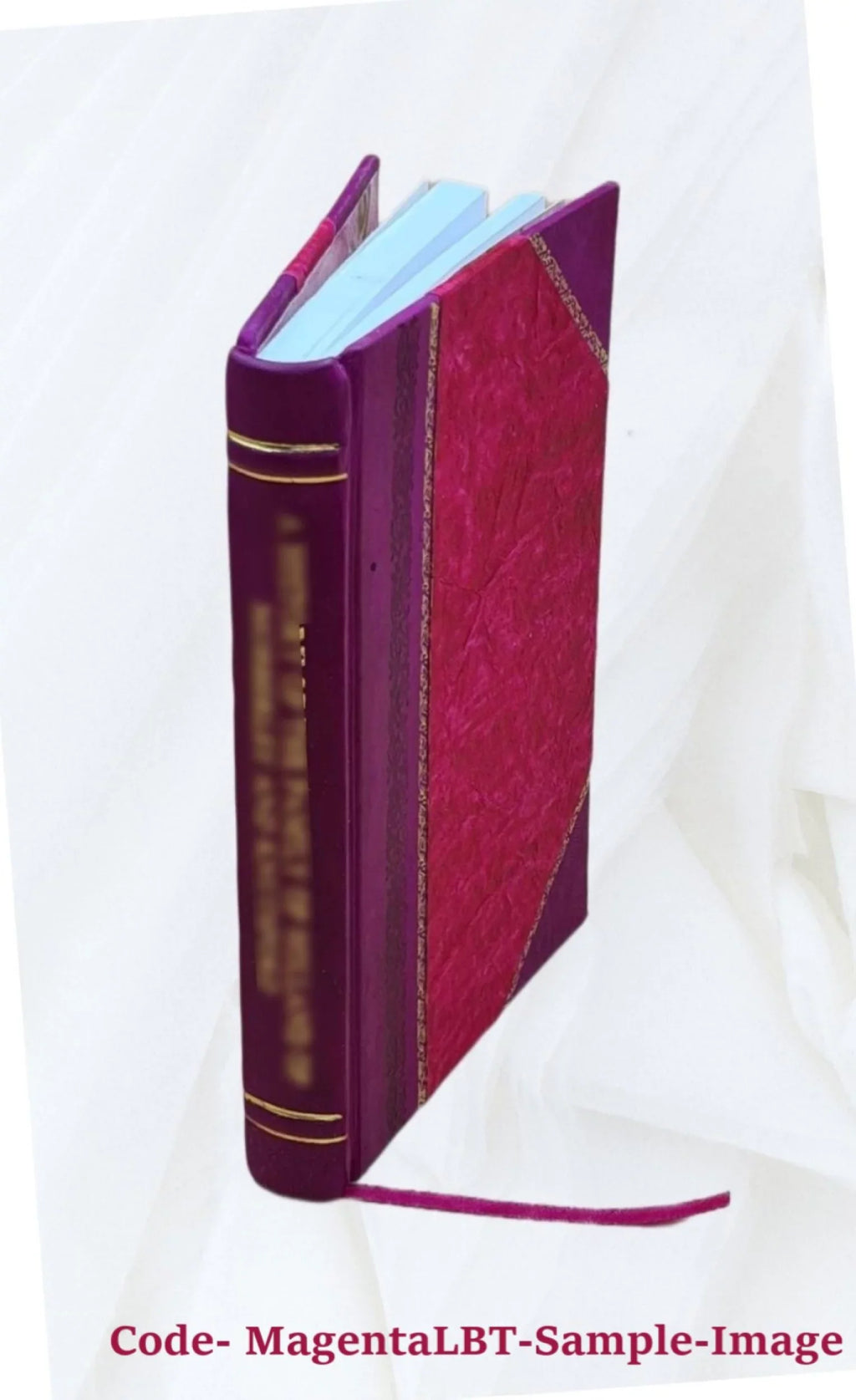 1900 [Leather Bound]. Designs of filter plants, January 1900
