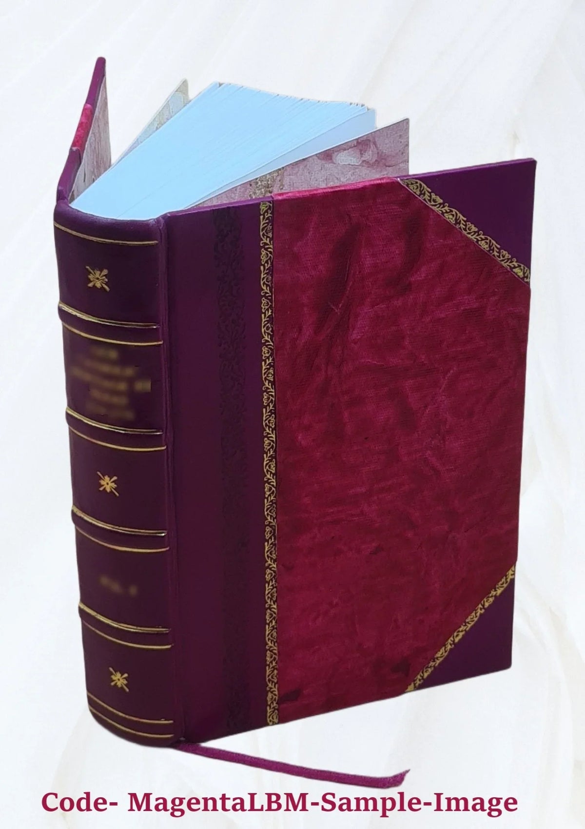 Géographie universelle de Malte-Brun : revue, rectifié e et complètement mise au niveau de l'état actuel des connaissances géographiques 1864 [Leather Bound]