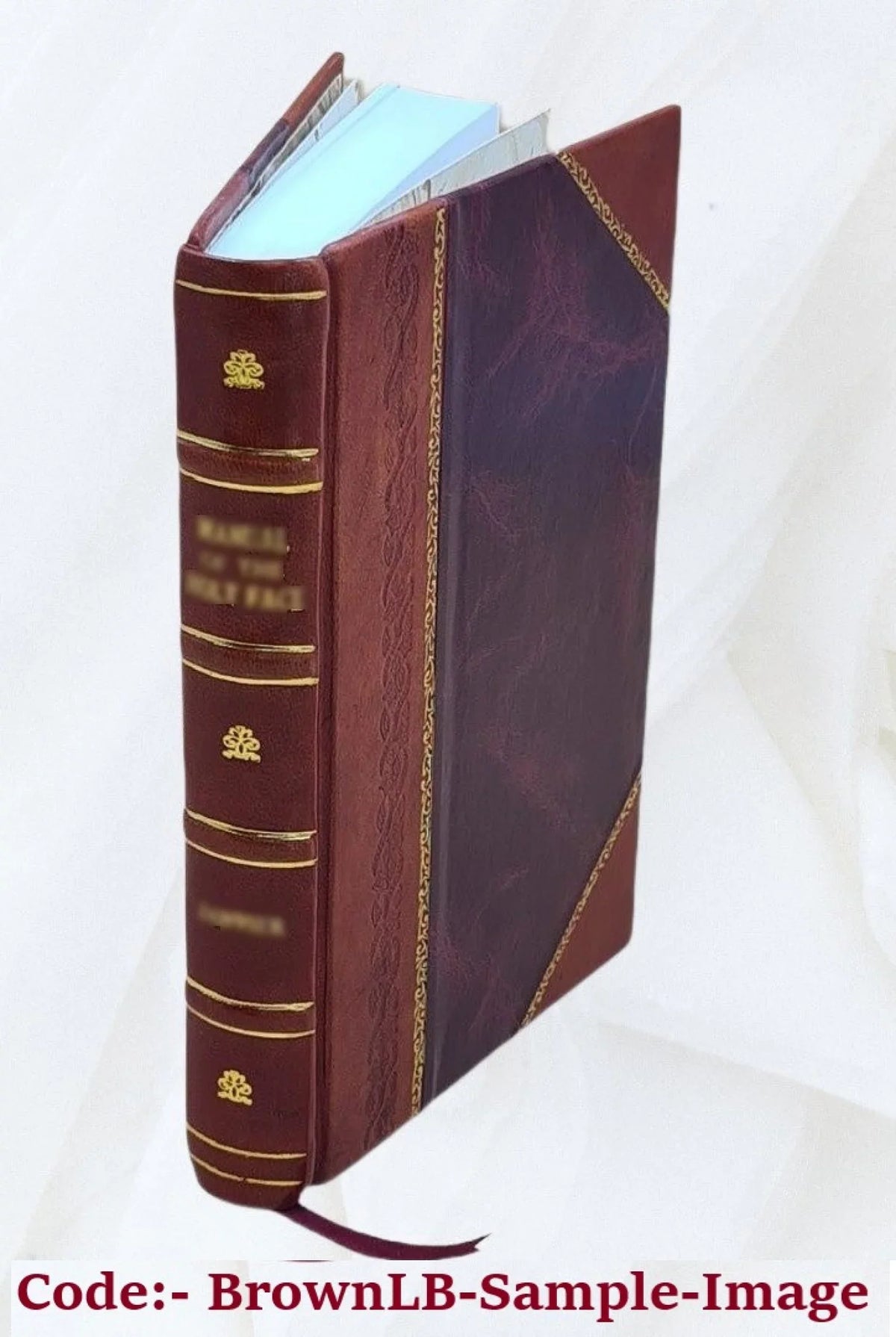 1867 [Leather Bound]. Le finanze; organismi finanziari,bilanci passivi,bilancio attivo dello stato